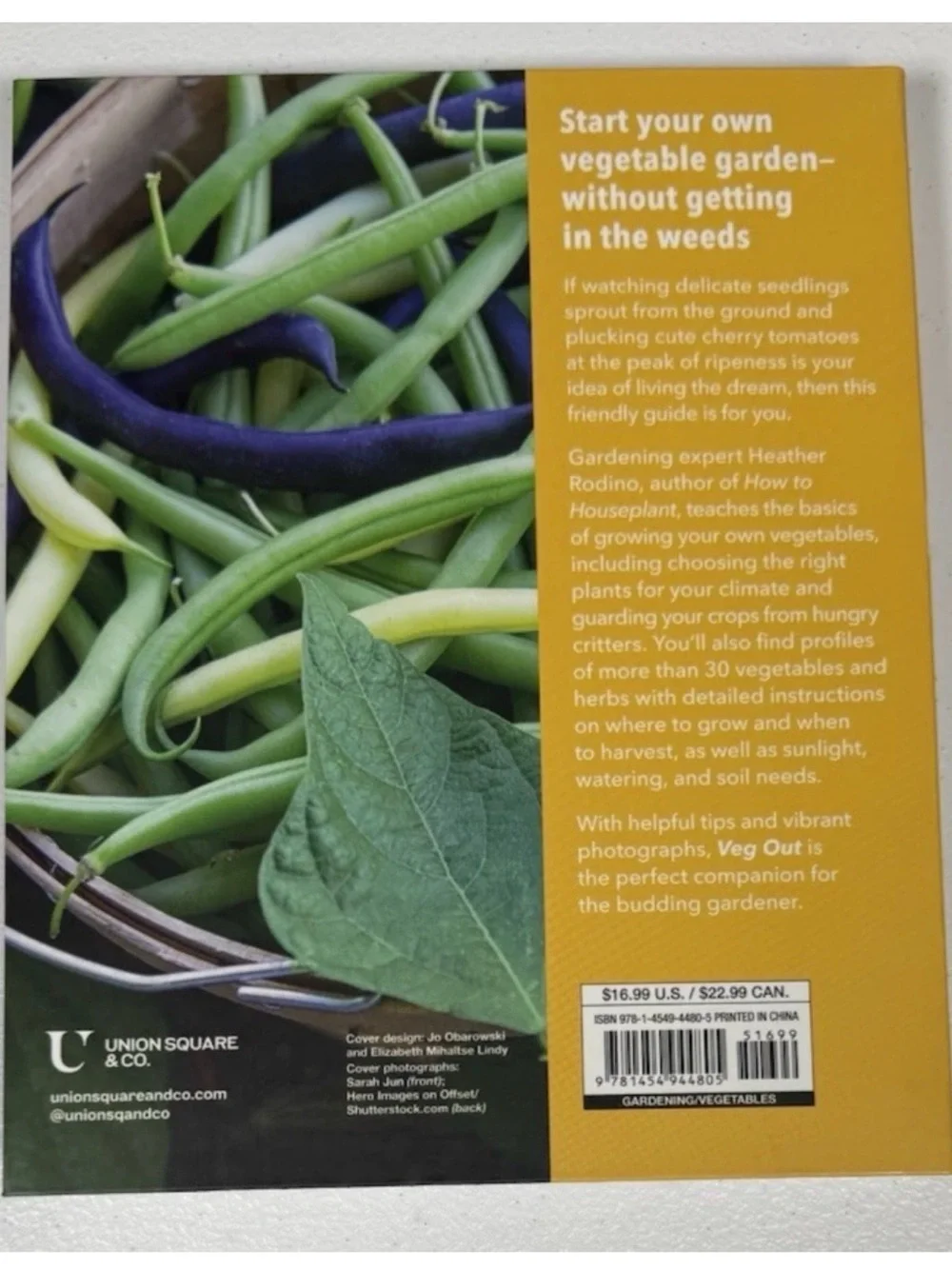 Veg Out; A Stress-Free Guide to Creating Your First Vegetable Garden